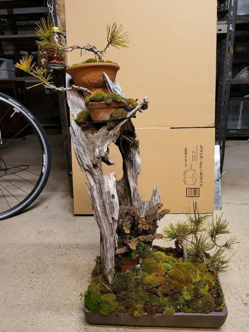 紫銅のめでたいそろばんです 装飾品 現代工芸品美術品 置物 銅の